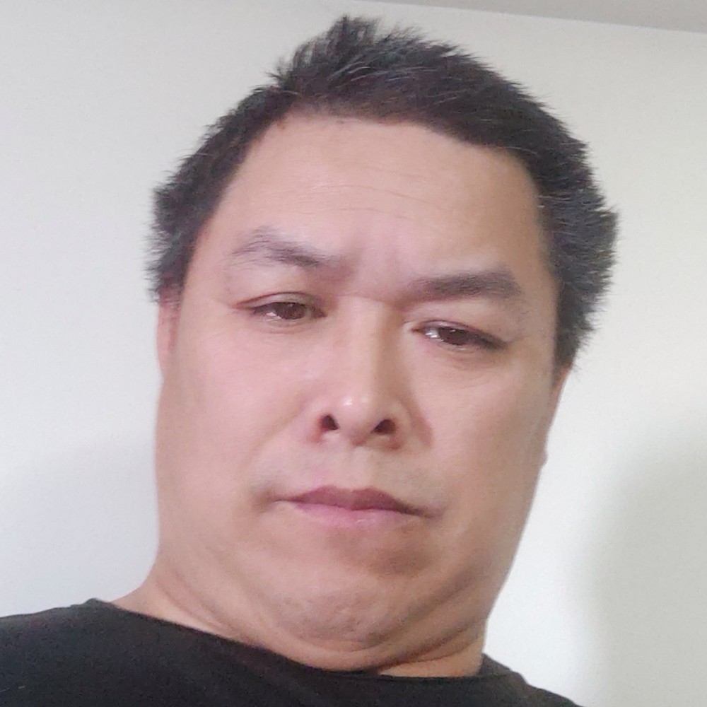 迷离拾忆树叶的照片