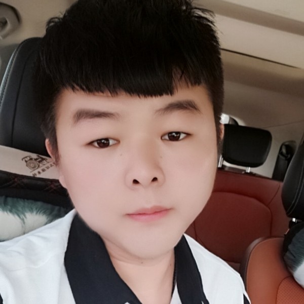 金毛独特的照片