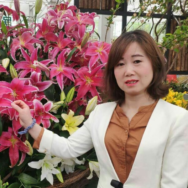 完美绿草的照片