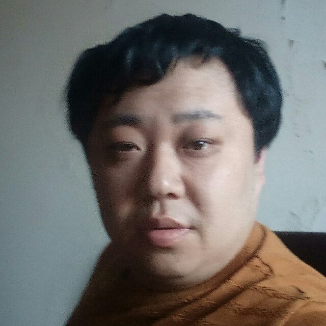 星星水平线的照片