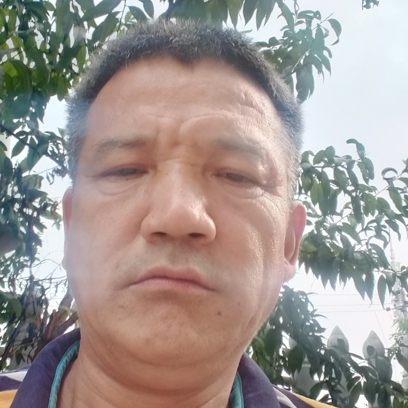 眼睛倾心愤怒的照片