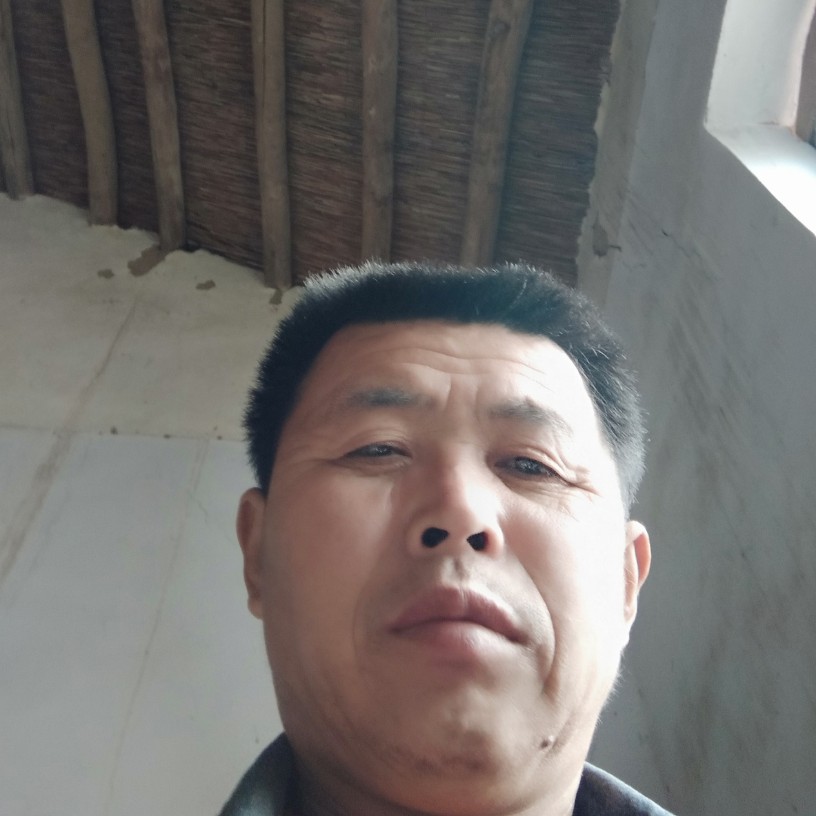 小虾米愿靓丽的照片