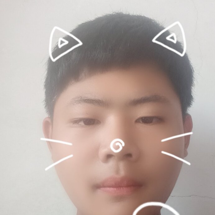 张鑫宇的照片