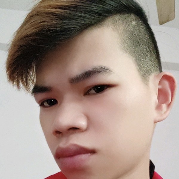 聪明拾忆仙人掌的照片