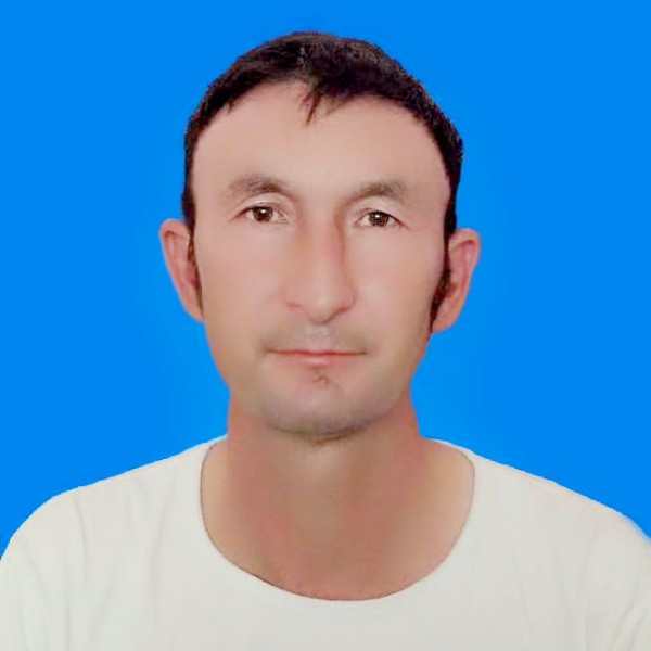 无辜和小海豚的照片