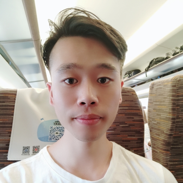 鸿雁向南的照片