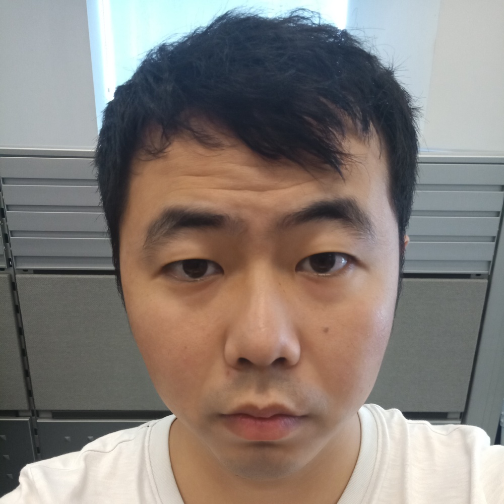 魁梧小海豚的照片
