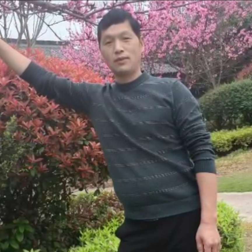 爱喝水的牛的照片