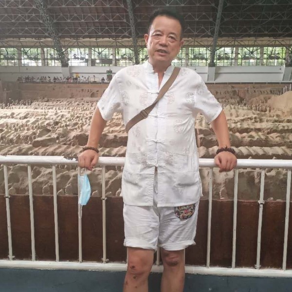 唐古拉山大树的照片