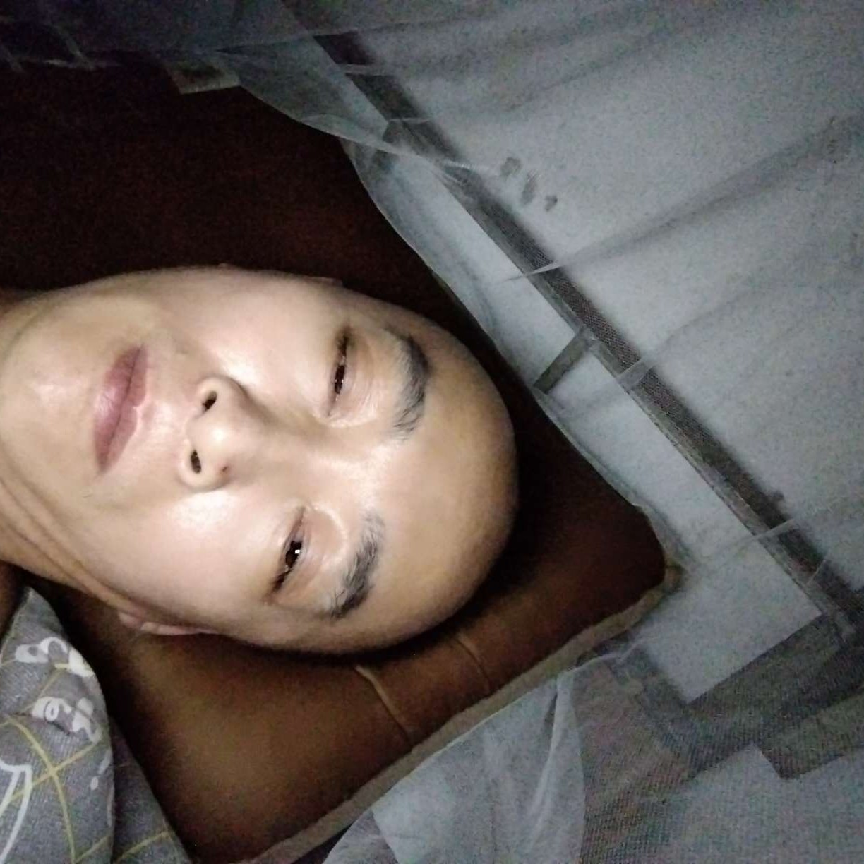 害羞方灯泡的照片