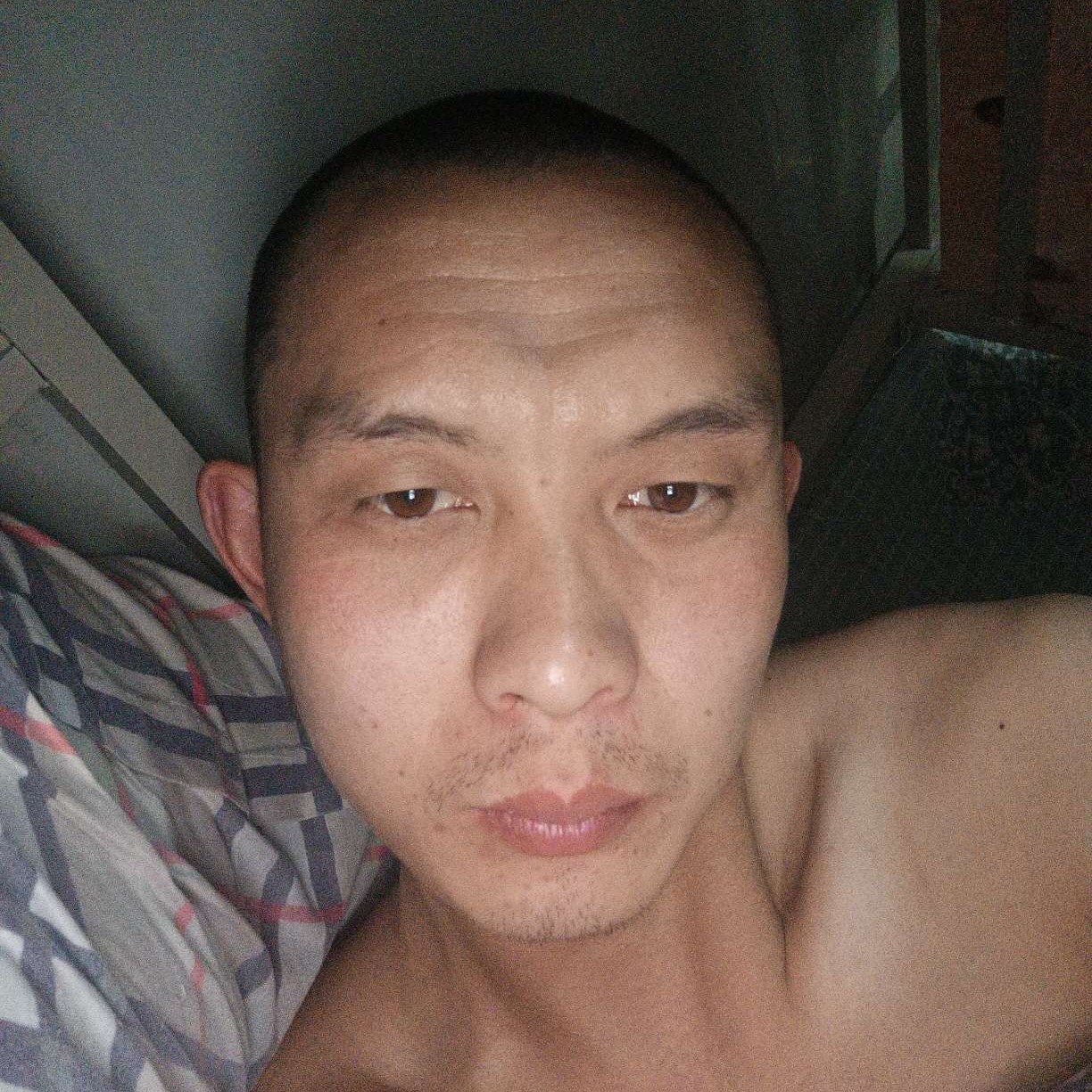 猎豹回眸执着的照片