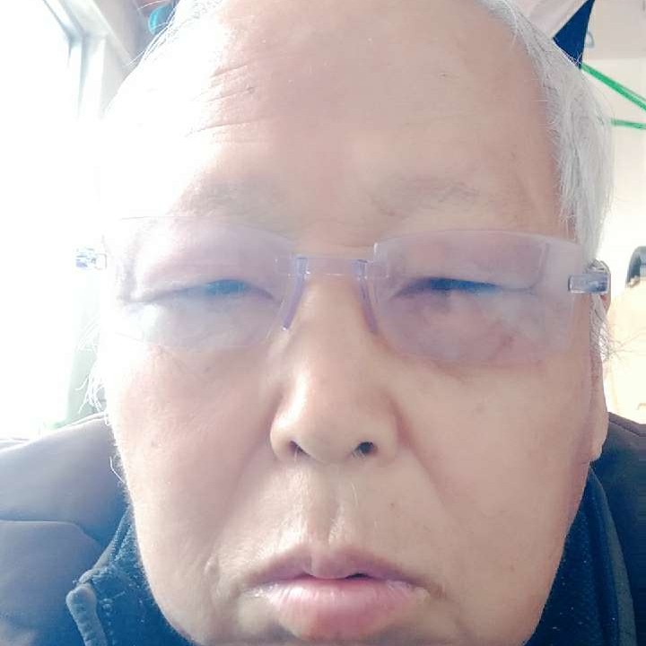 康乃馨蹁跹平淡的照片