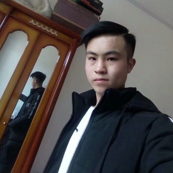 文艺蹁跹乌龟的照片