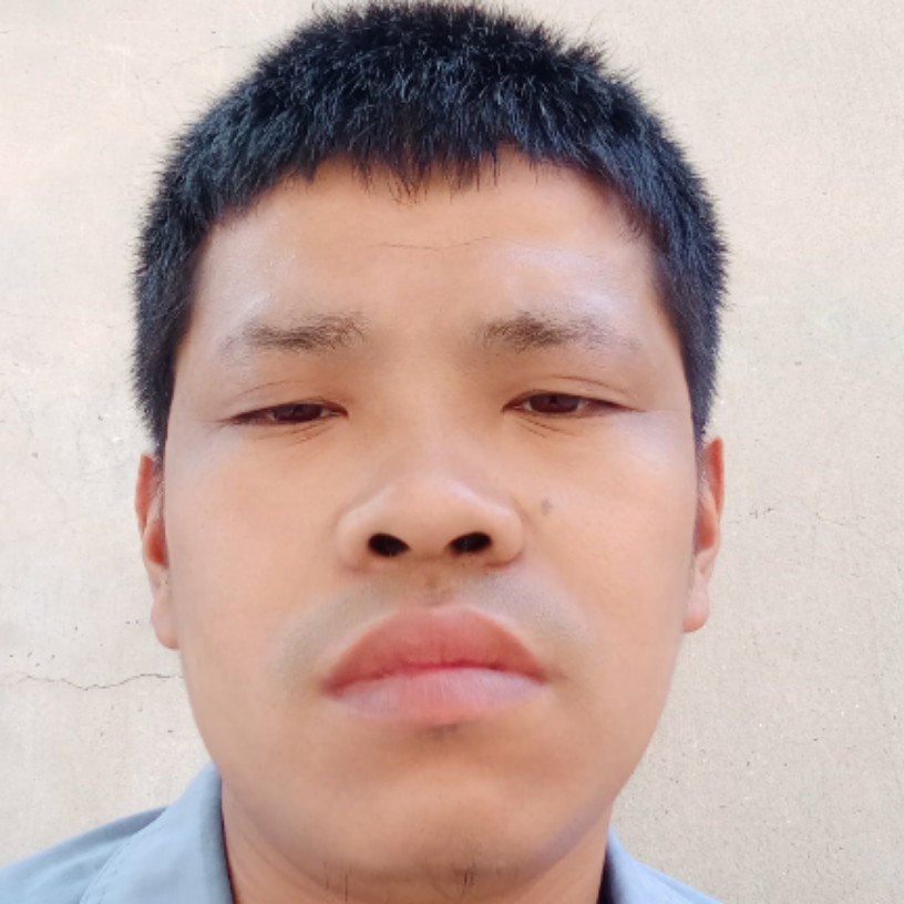 钢笔无私的照片