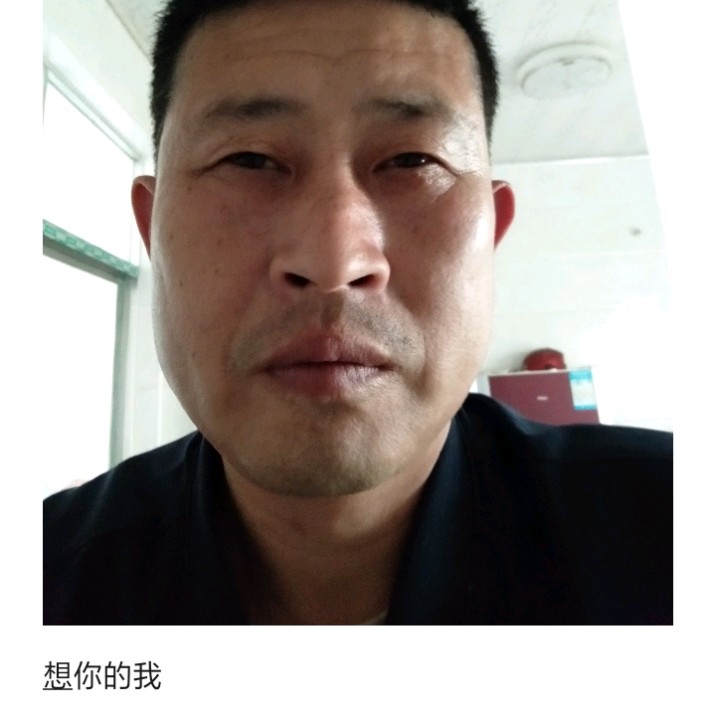 敏感停止小伙的照片