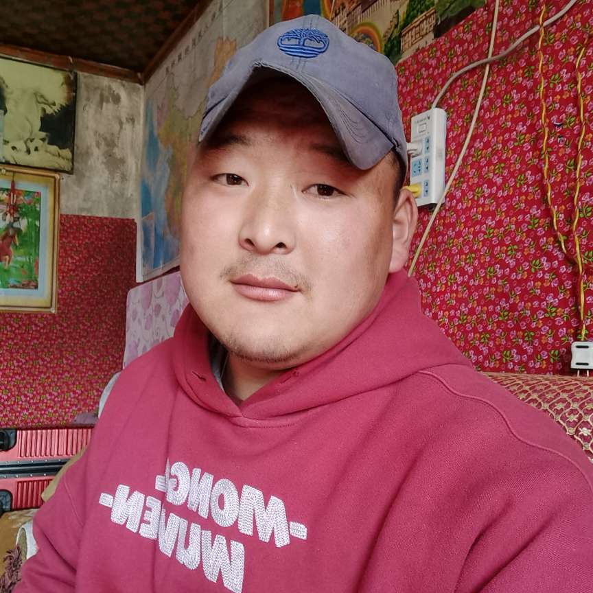 绿草与幽默的照片