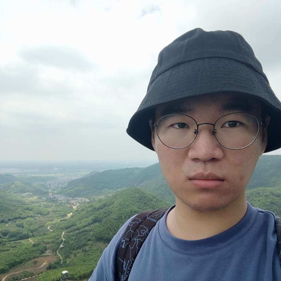 乌衣巷陌的照片