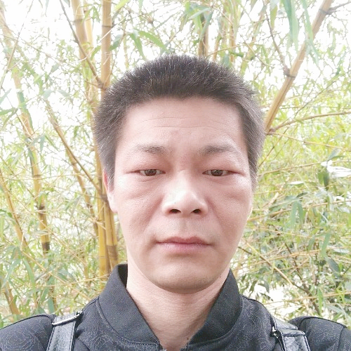 我心  永恒的照片