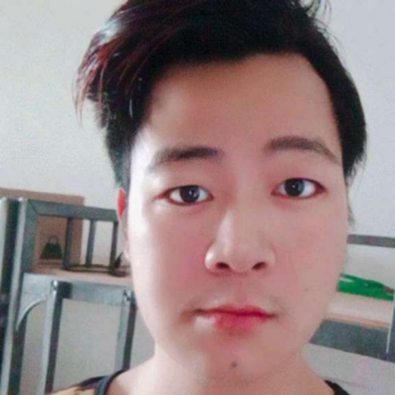 爱妃们的照片