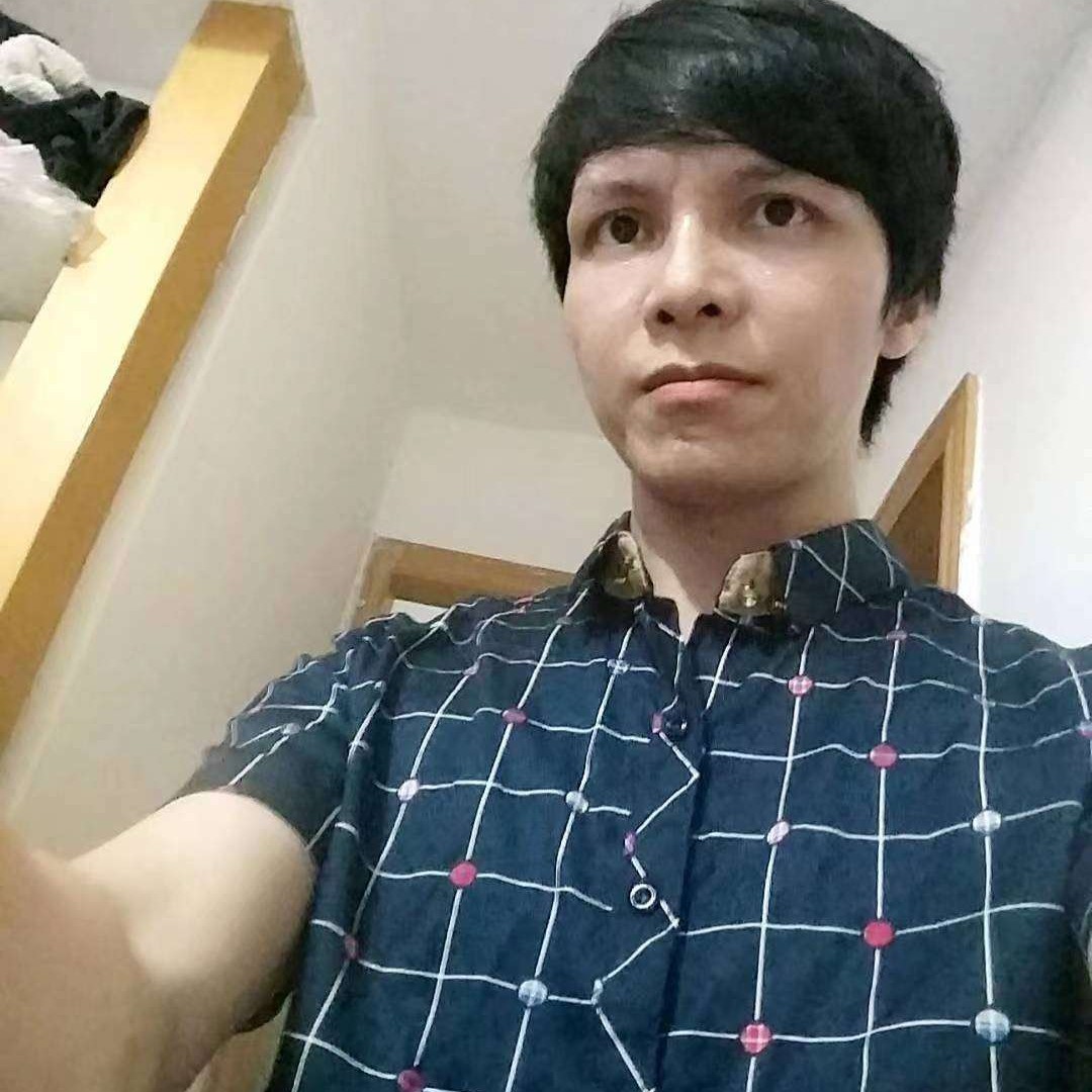 羽毛停止愉快的照片