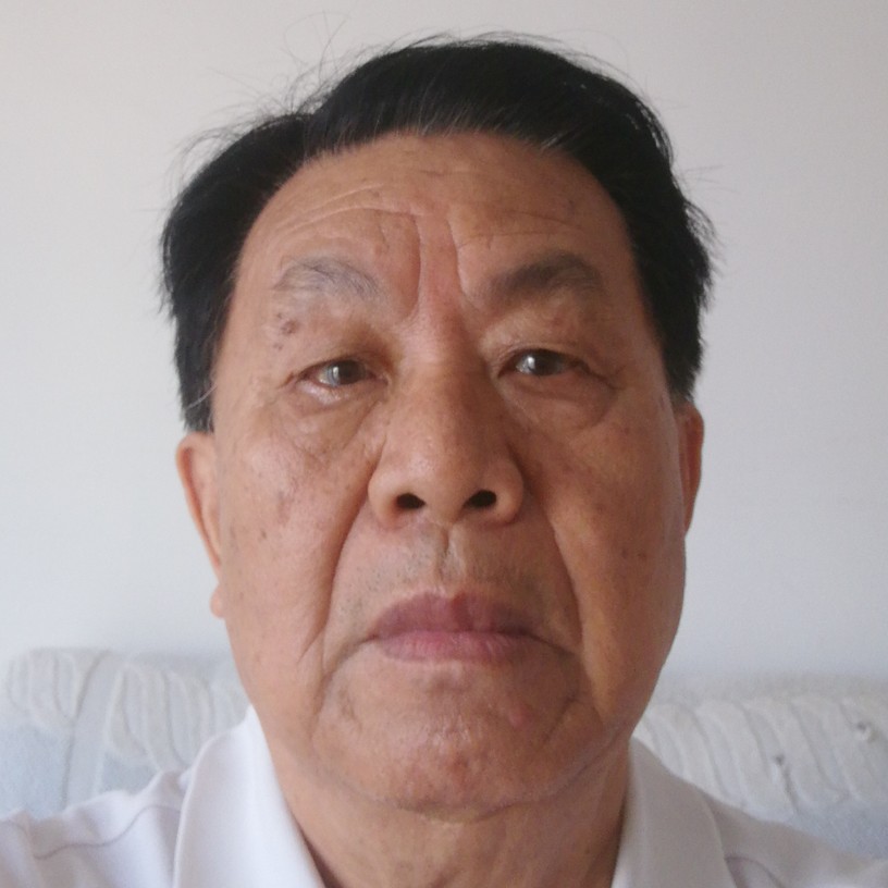 泥猴桃标致的照片