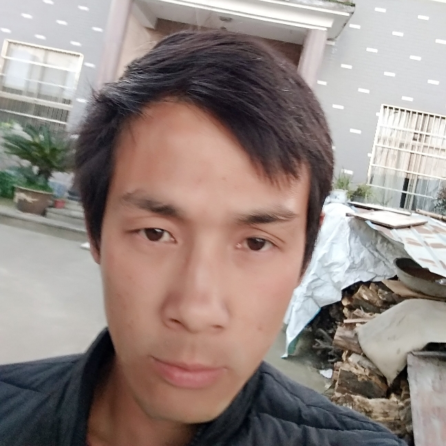帅气和蚂蚁的照片