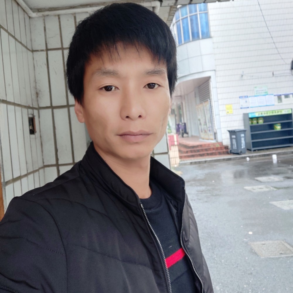活泼黑猫的照片