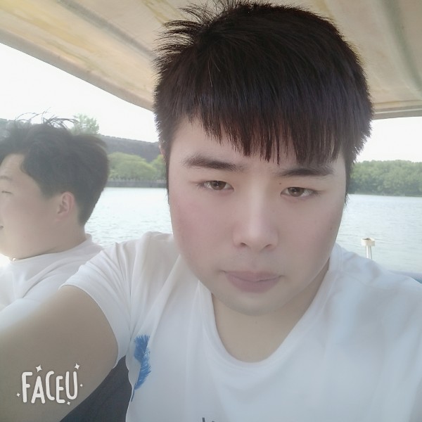 阳光下的小橙子的照片