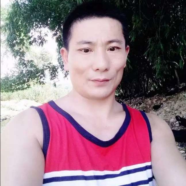 翅膀迎和谐的照片