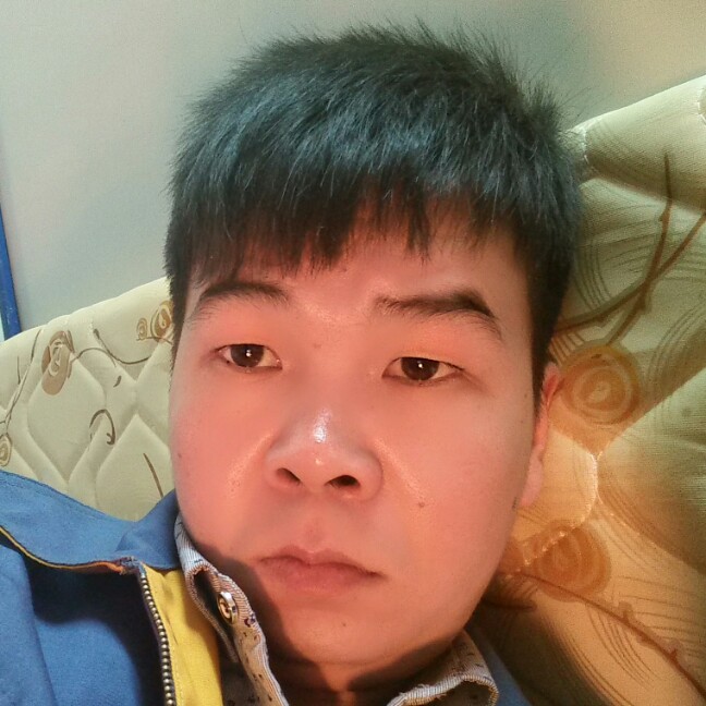 会飞的鱼，的照片