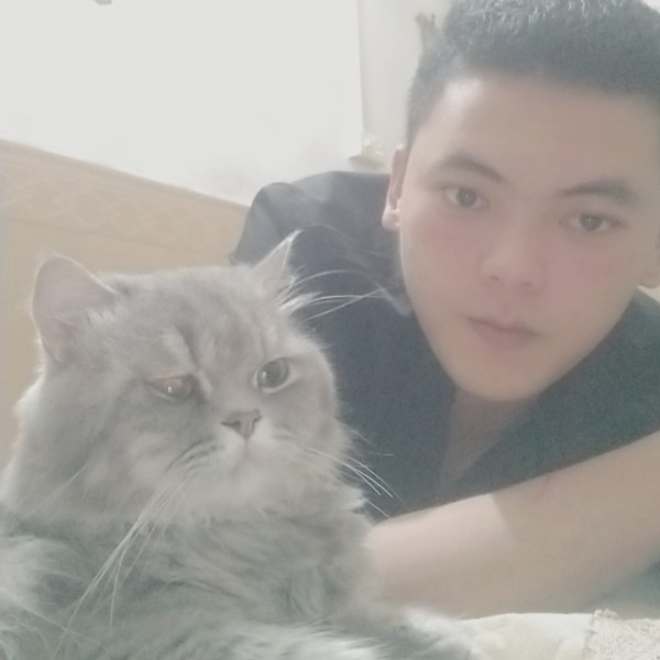 巨人感性的照片