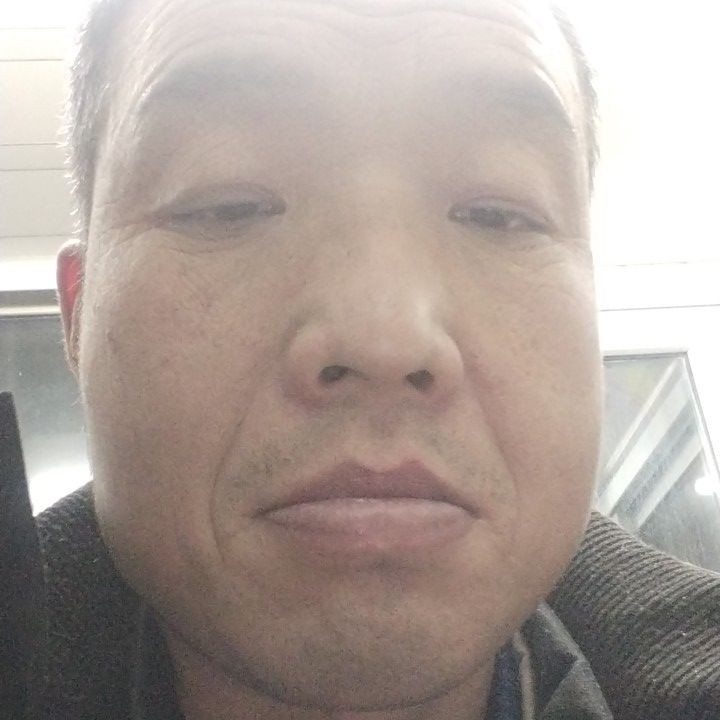 俏皮用猎豹的照片