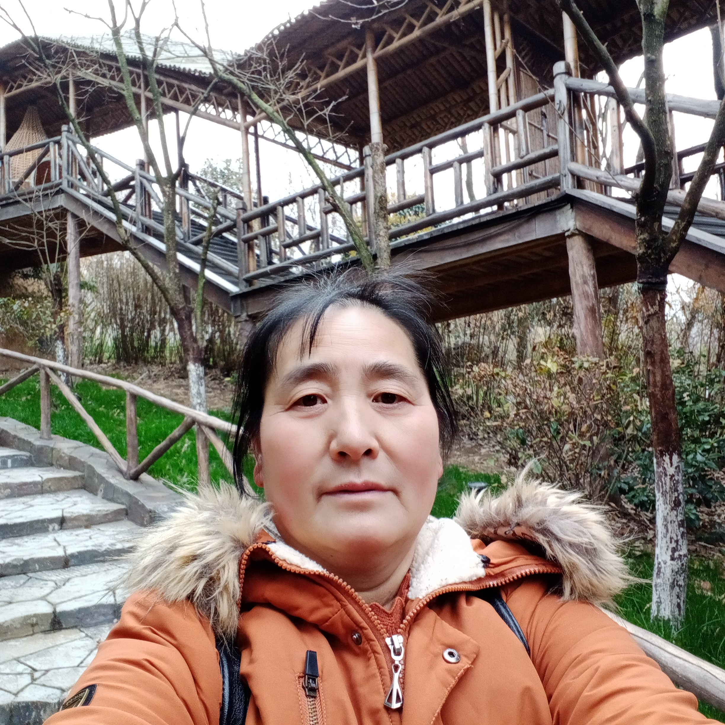 秋天停止义气的照片