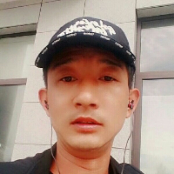 错落爱恋向日葵的照片