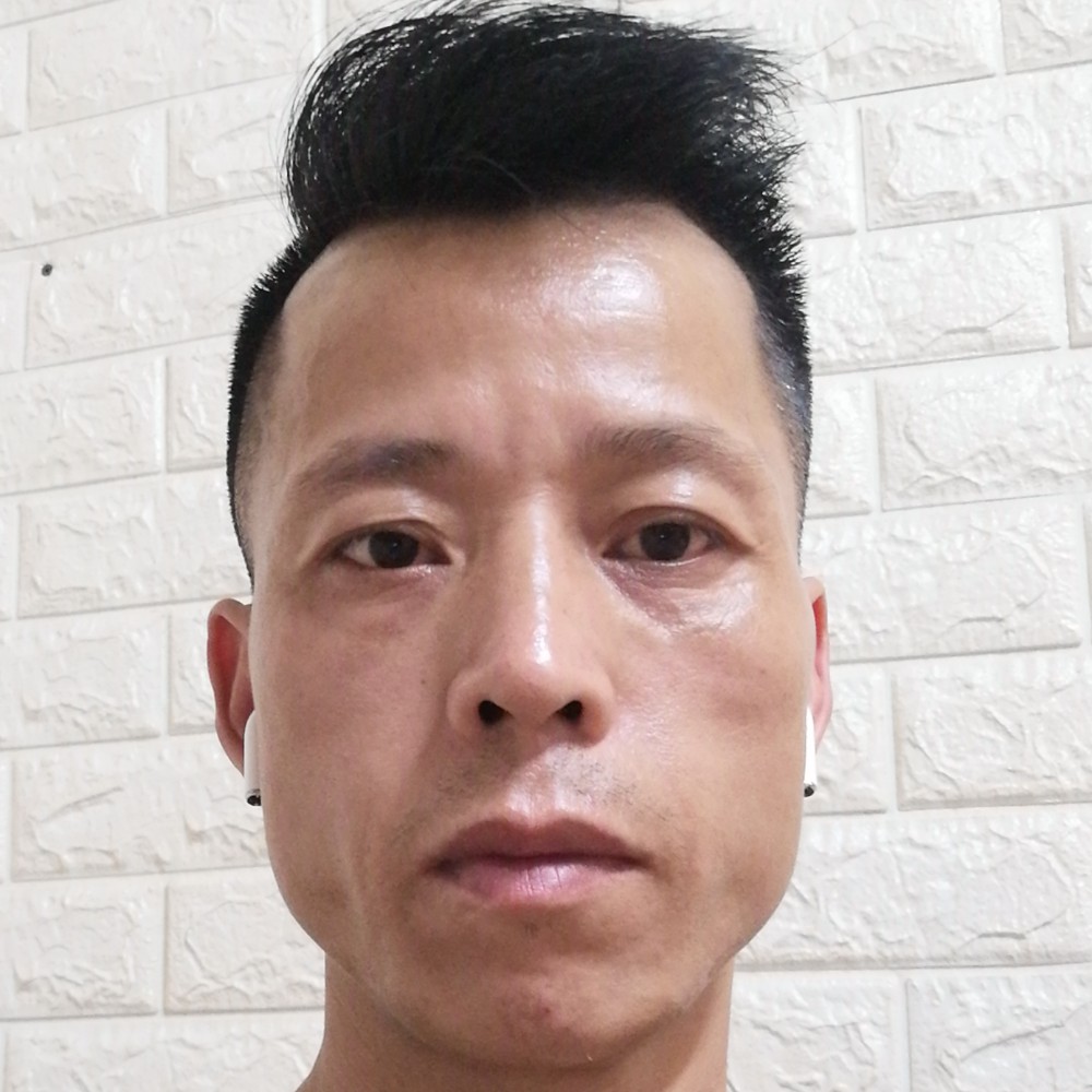 迷人停止奇异果的照片