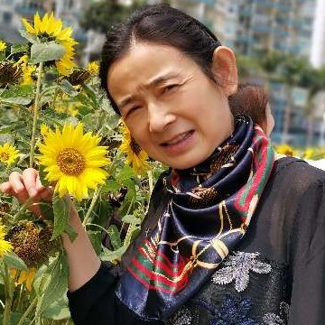 生活五彩缤紛的照片
