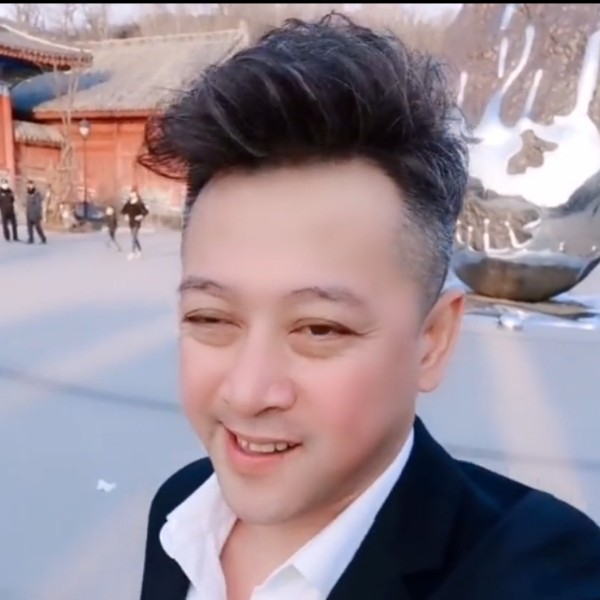 直率停止钻石的照片