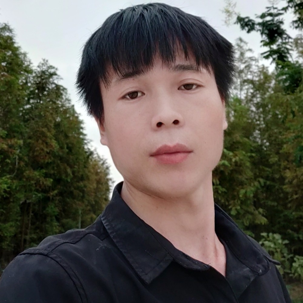 淡然放弃红玫瑰的照片
