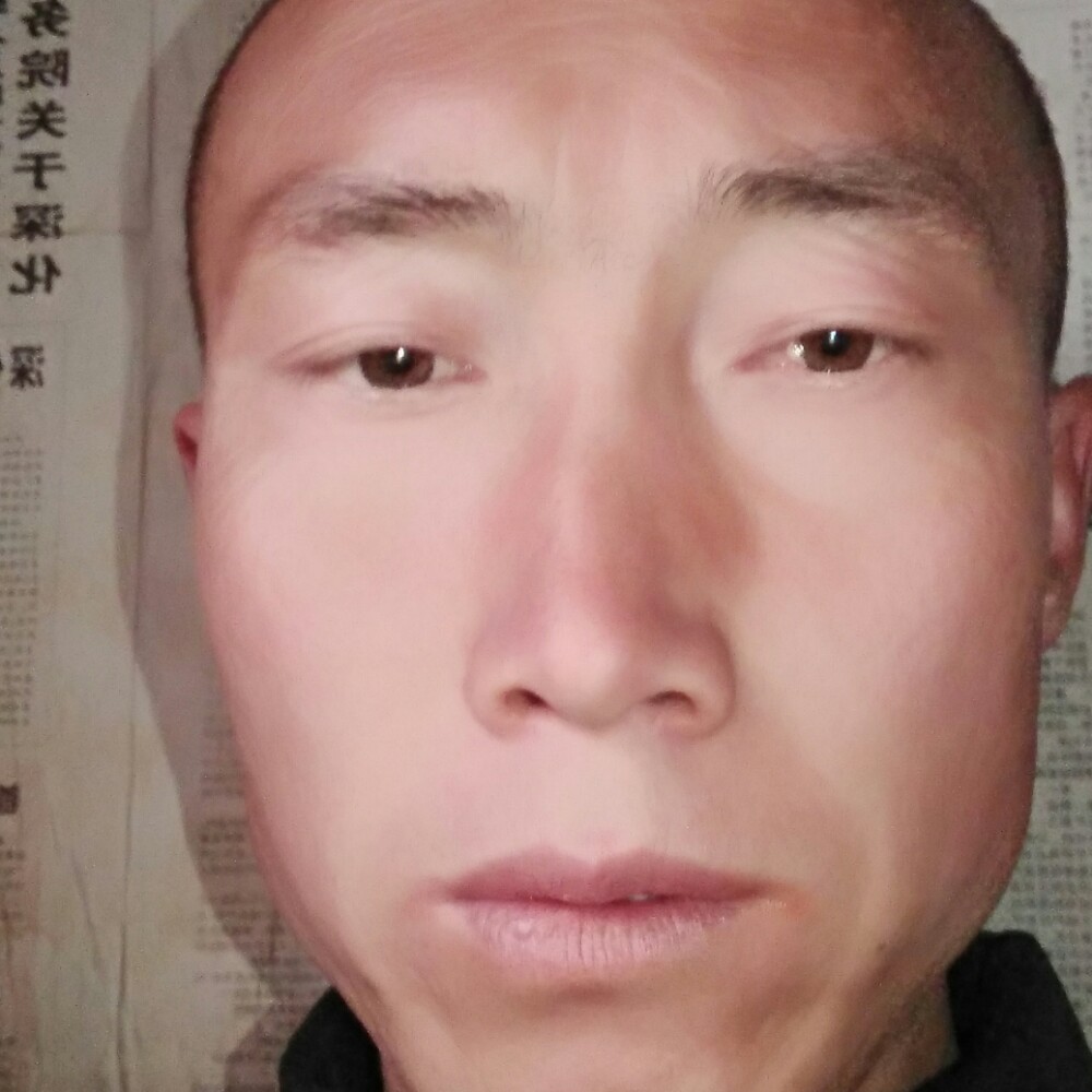 社会毛哥1314的照片
