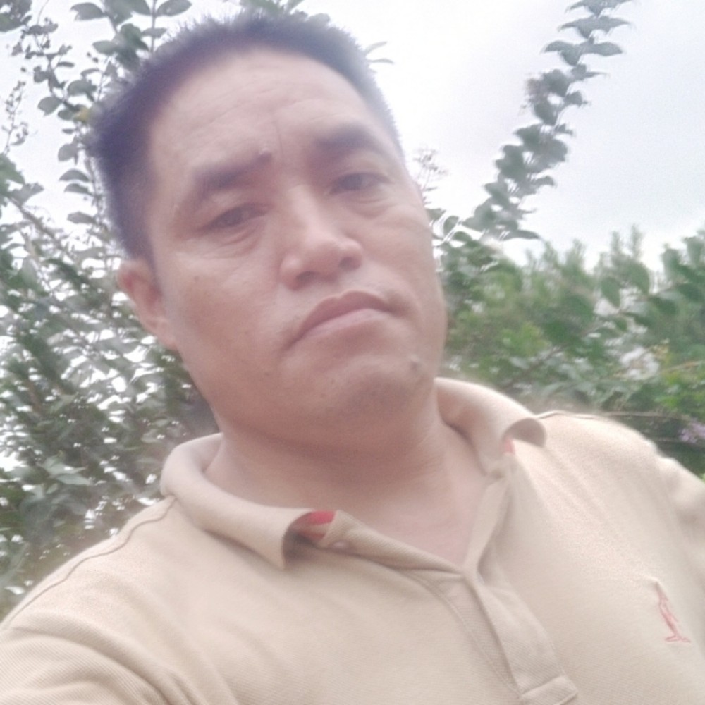 发夹机智的照片