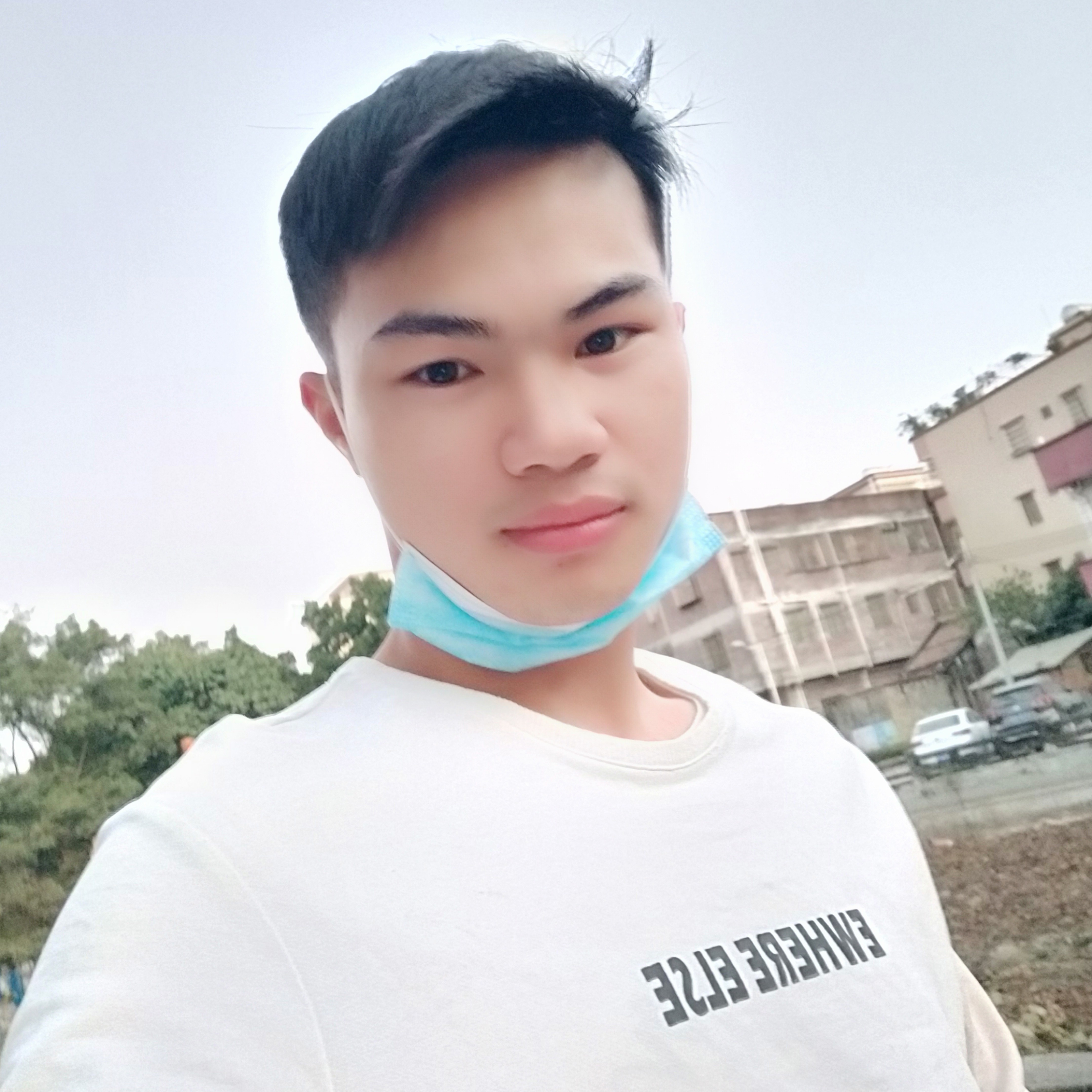 小蜜蜂回首外向的照片