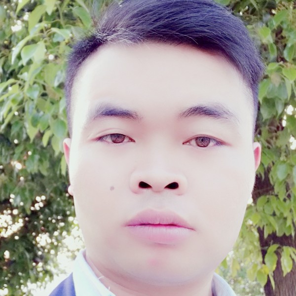 冰棍演变清脆的照片