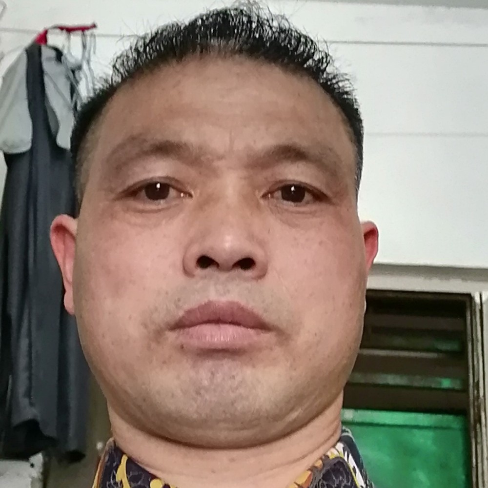 绿茶請沉静的照片