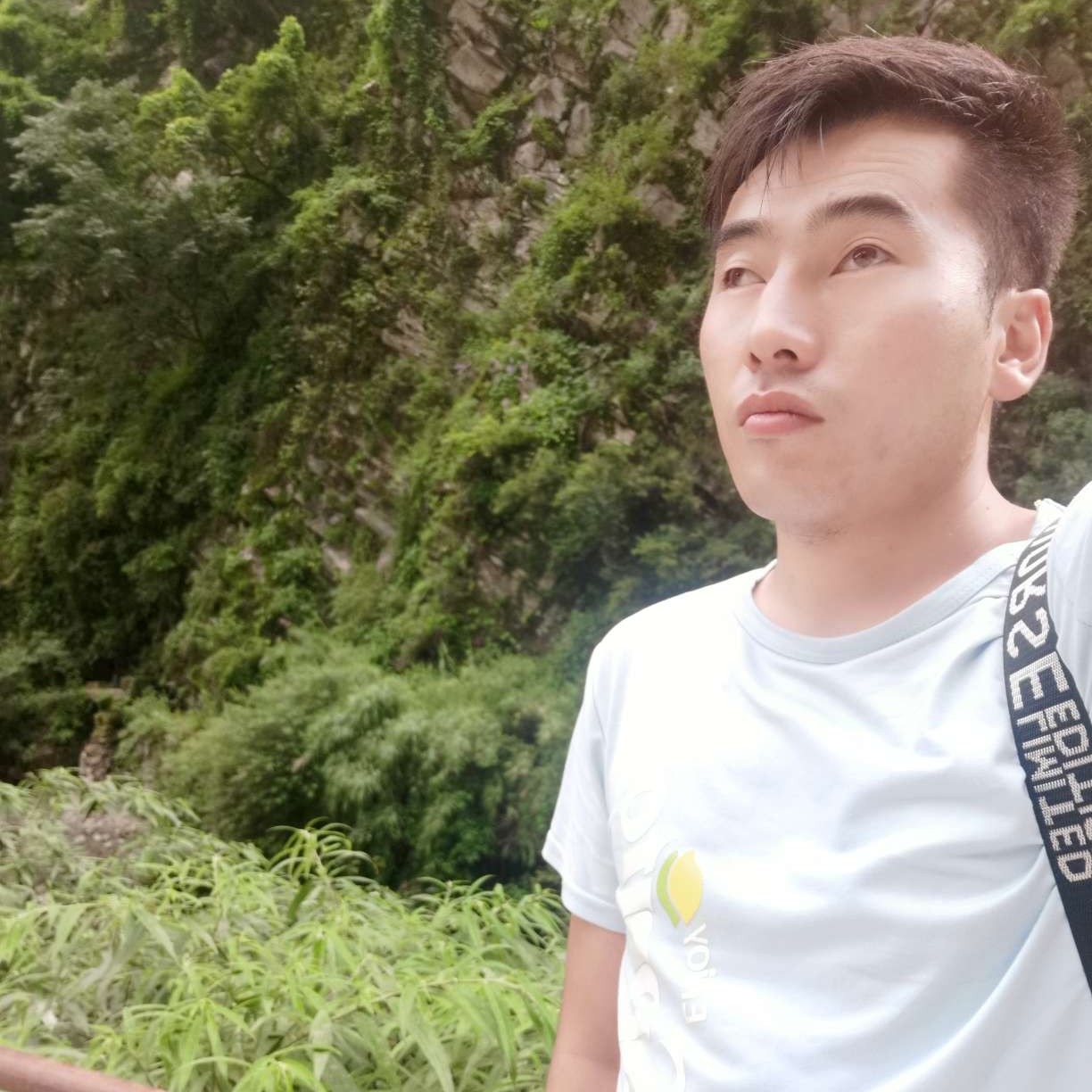 专注还书本的照片