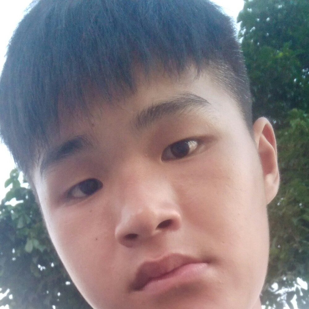 冰羽星辰的照片