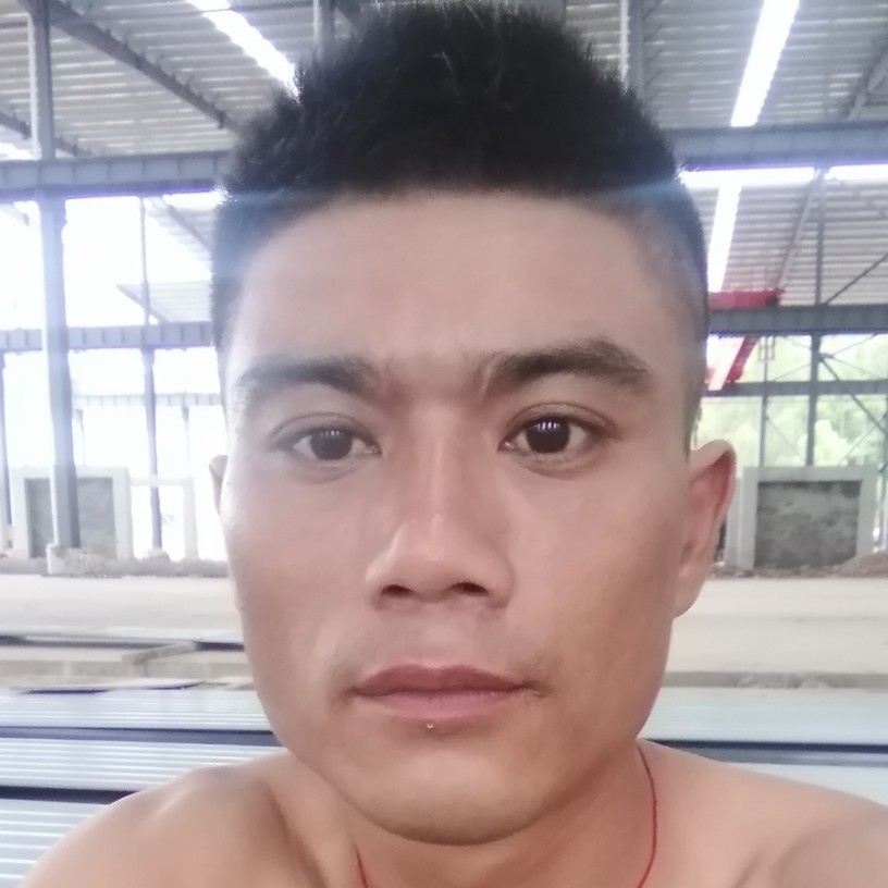 乌龟背后的照片