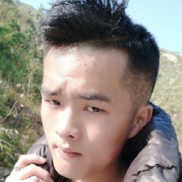 小海豚笑过时的照片