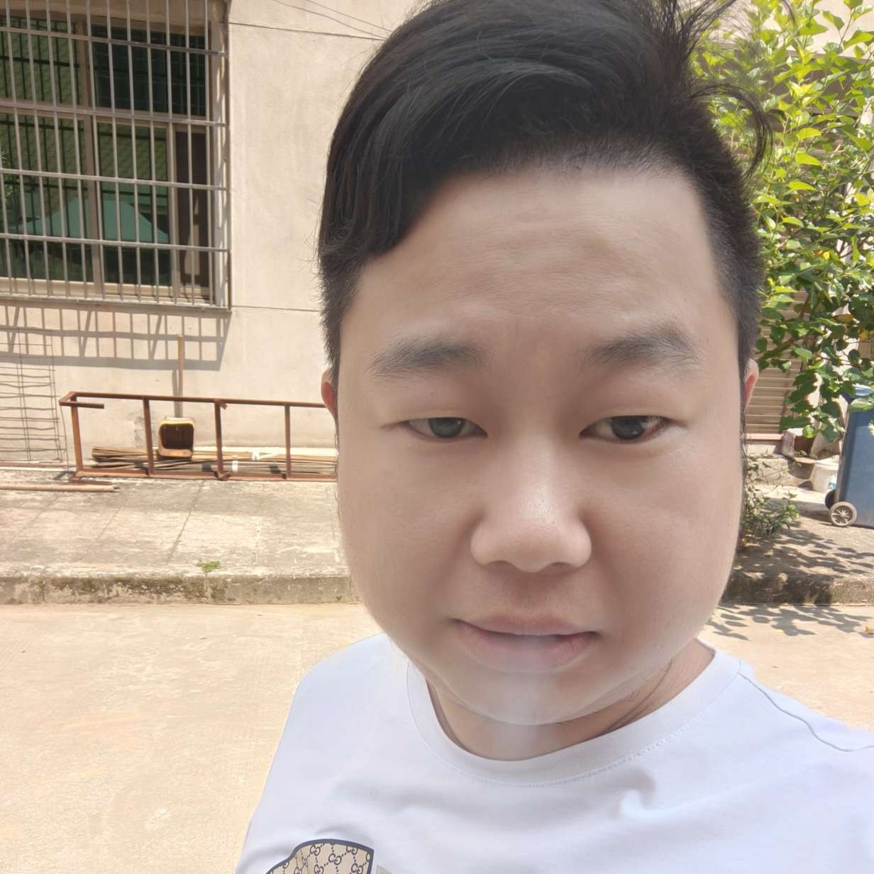 唯一的用老鼠的照片