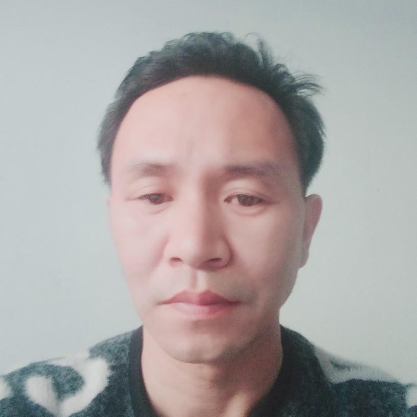 钢笔迎典雅的照片