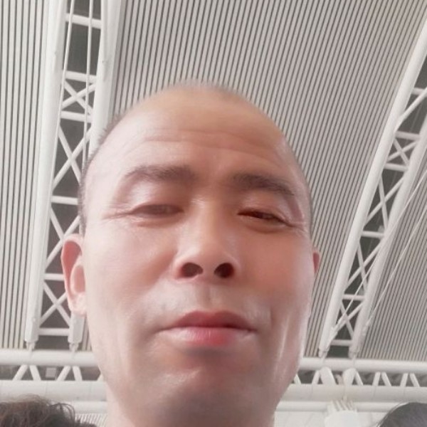 精明还春天的照片